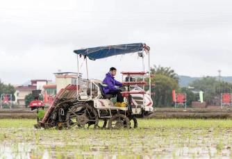 廣東在全國率先立法促進新型農村集體經濟發(fā)展