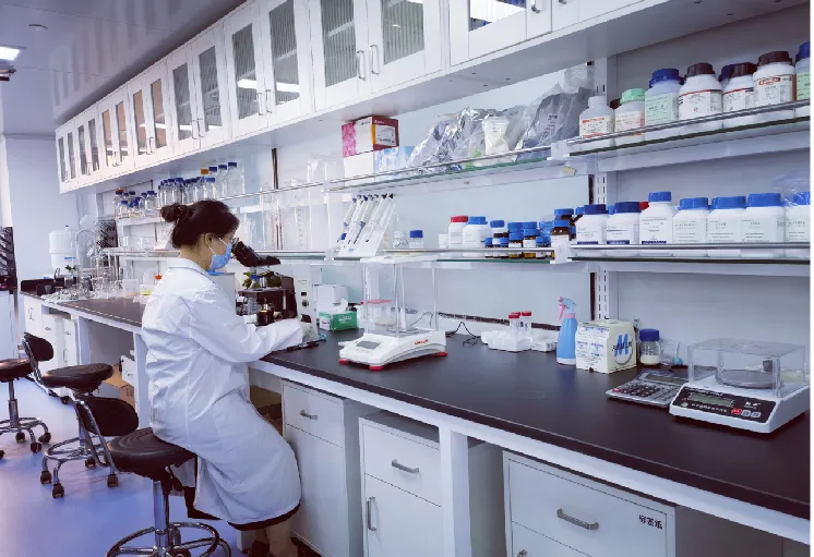 /uploadfile/2024/1206/20241206035427732.png /uploadfile/2024/1206/20241206035427732.png