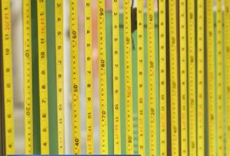 從“草根經(jīng)濟”走向“樹根經(jīng)濟”，小卷尺“丈量”大世界