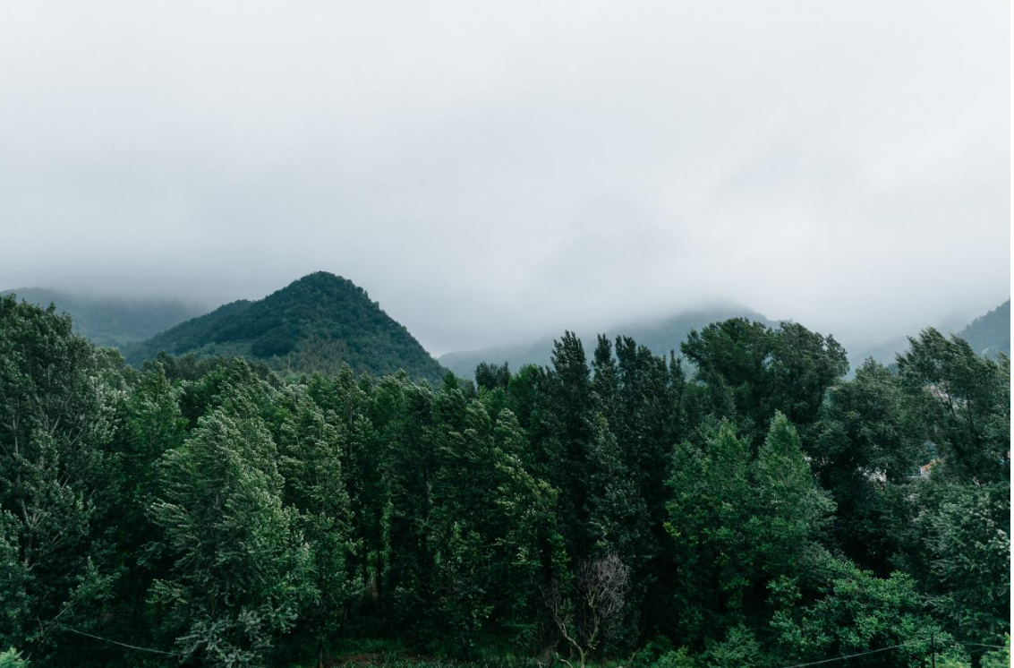 20241225191333985.png 20241225191333985.png