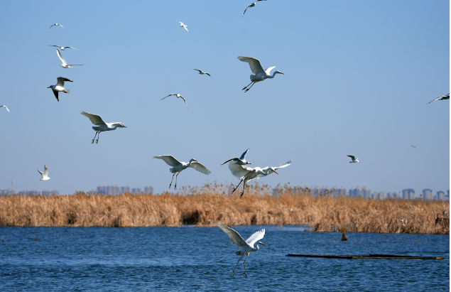 文化和旅游部確定19家旅游景區(qū)為國(guó)家5A級(jí)旅游景區(qū)