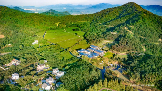 墓隱于茶、墓隱于林，杭州這家紀(jì)念園的生態(tài)安葬方式很獨(dú)特