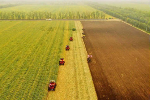 黑龍江稅務(wù)落實惠農(nóng)利企優(yōu)惠政策，及時響應(yīng)農(nóng)企農(nóng)戶服務(wù)訴求
