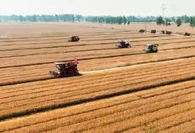 河南南陽(yáng)：中州糧倉(cāng)，“食”力升級(jí)