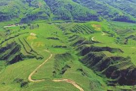 山西綠色生態(tài)空間持續(xù)擴(kuò)大，全年?duì)I造林319萬畝