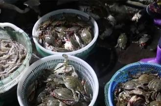 新年嘗“鮮” 2025年第一波海鮮上市豐富消費市場