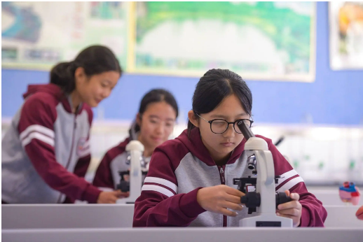 北京：中小學(xué)科學(xué)教育“二十條”出臺 十七個(gè)部門合力實(shí)施六大行動