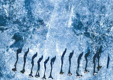 文旅融合助力黑龍江冷水魚“游”向全國