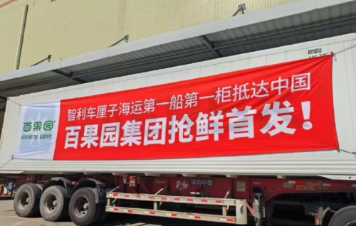 百果園進(jìn)口水果再升級(jí)，智利車(chē)?yán)遄雍＿\(yùn)熱銷(xiāo)全國(guó)