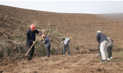 去年以工代賑吸納就業(yè)總數(shù)同比增長31%