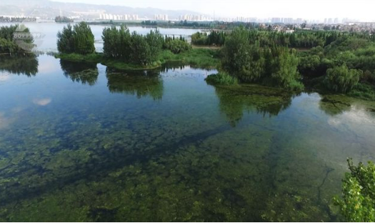 地表水優(yōu)良水質(zhì)斷面比例首超九成