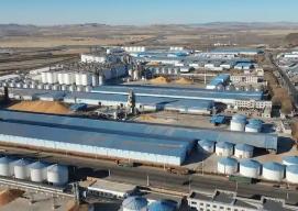 內(nèi)蒙古儲備“兩新”等相關(guān)領(lǐng)域項目1133個