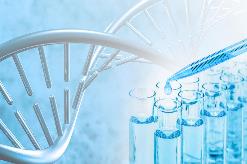 兩部門部署開展第二批生物醫(yī)用材料創(chuàng)新任務(wù)揭榜掛帥工作