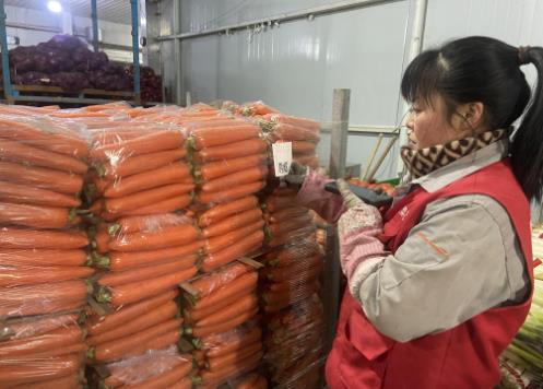 不少蔬菜水果進了垃圾桶，如何減少損耗浪費？