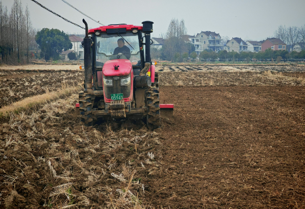 城區(qū)煙站春節(jié)后春耕忙，起壟施肥育苗旺