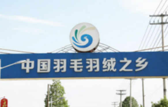 “中國羽毛羽絨之鄉(xiāng)”安徽無為：羽毛輕輕產(chǎn)業(yè)重