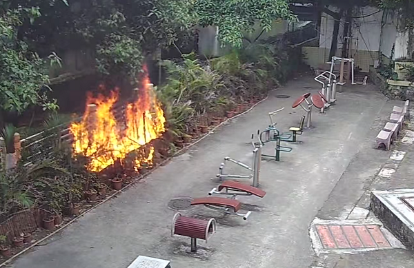 濃煙中逆行！順豐同城小哥快速滅火，守護(hù)城市安全