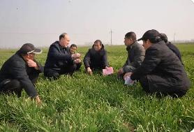 農(nóng)業(yè)農(nóng)村部開展春管春耕調(diào)研指導(dǎo)