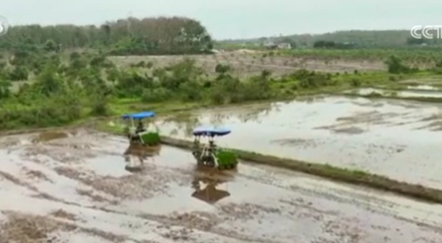 我國春管春耕由南向北陸續(xù)展開