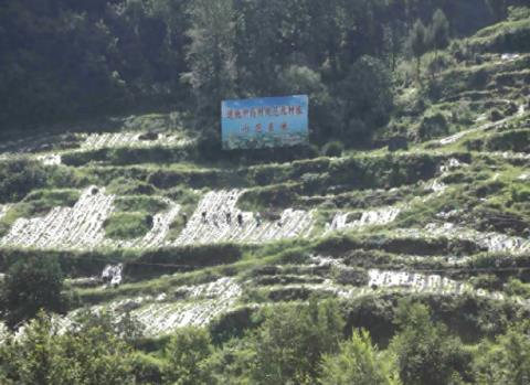 四川萬源通過“天麻之鄉(xiāng)”評(píng)審