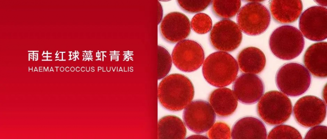 敖光造型引發(fā)抗衰關(guān)注  綠A凍齡蝦青素助你青春常在