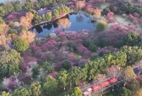 春日經(jīng)濟(jì)不斷升溫 錯(cuò)峰出游、賞花游成為新選擇