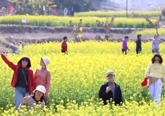 “賞花經(jīng)濟(jì)”帶動文旅市場春潮涌動 為城鄉(xiāng)消費(fèi)注入蓬勃動能