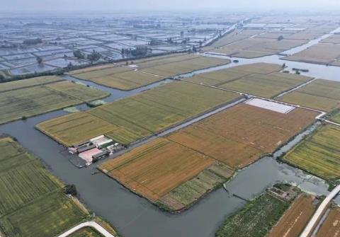 守好生態(tài)“財(cái)富”，江蘇興化打造新時(shí)代“魚(yú)米之鄉(xiāng)”