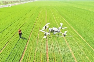 聚焦十大領(lǐng)域 我國培育發(fā)展農(nóng)業(yè)新質(zhì)生產(chǎn)力