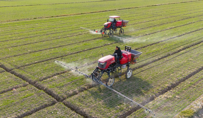 激發(fā)鄉(xiāng)村全面振興澎湃動(dòng)能——中國(guó)經(jīng)濟(jì)圓桌會(huì)聚焦2025年中央一號(hào)文件