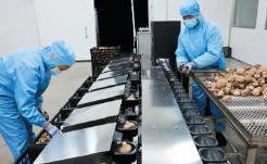 擁抱新“食”代，聚力深加工闖蕩大市場(chǎng)