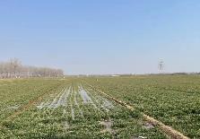 河南封丘：春風(fēng)吹響沖鋒號(hào) 揚(yáng)帆奮進(jìn)正當(dāng)時(shí)