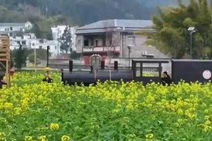 “賞花+”產(chǎn)業(yè)激活鄉(xiāng)村活力 成為新經(jīng)濟增長點