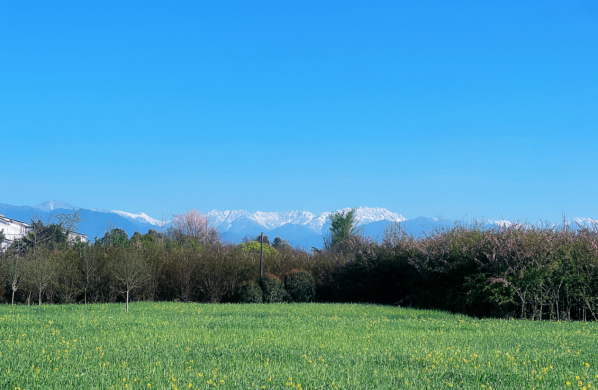 青城山下田園康養(yǎng)天堂：特色旅居酒店攜手全國精英共創(chuàng)未來
