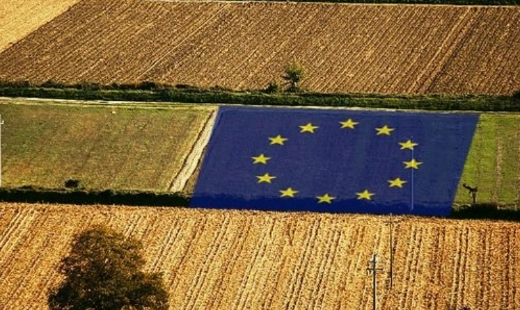 歐盟農(nóng)業(yè)新愿景難掩分歧