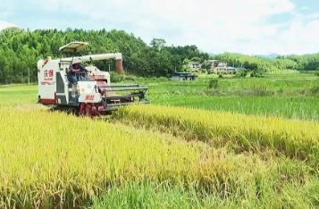 “芯”動(dòng)力、“硬”裝備！看福建增產(chǎn)20萬(wàn)噸糧食的創(chuàng)新底氣