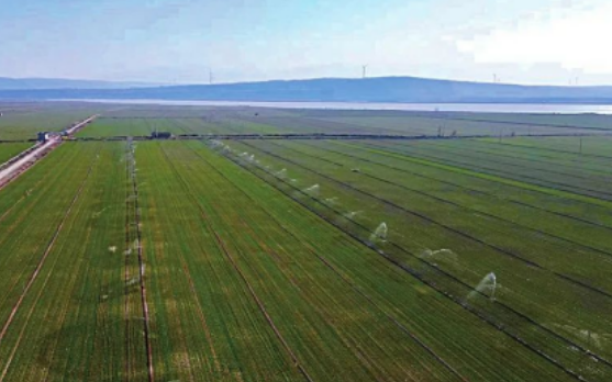 山西省將新增恢復(fù)60萬(wàn)畝水澆地