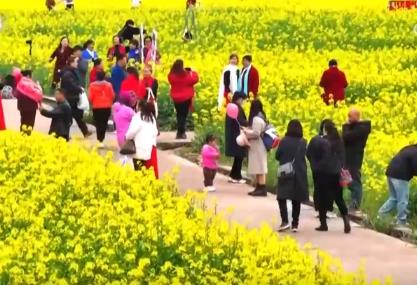 好風景變身好“錢”景 鳥語花香點亮“春日經(jīng)濟”新活力