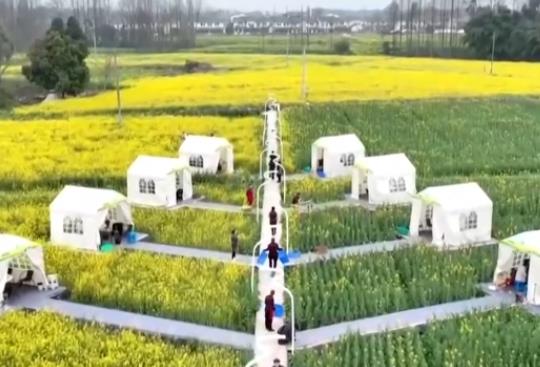 坐飛機(jī)賞花、圍爐煮茶、花田火鍋……花樣新場景釋放消費(fèi)新活力