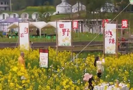 “美麗花海+特色文旅”催熱“家門口”農(nóng)文旅融合新熱潮