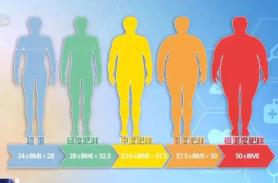 國家版減肥指南來了！權(quán)威食譜，細化到地區(qū)