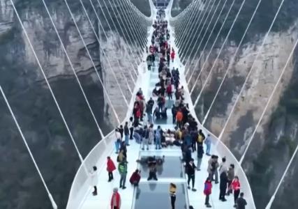 花樣文旅“圈粉”引客來 “追花游”點亮旅游市場“多彩”引擎