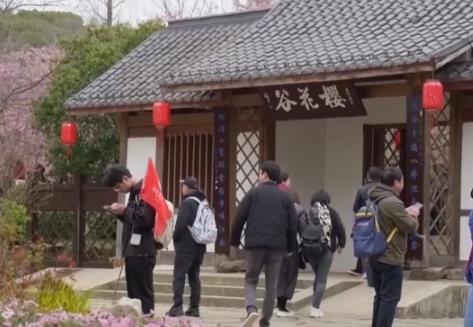 賞花、摘果、運動、慢游“牽手”春日經(jīng)濟 釋放消費多“彩”活力