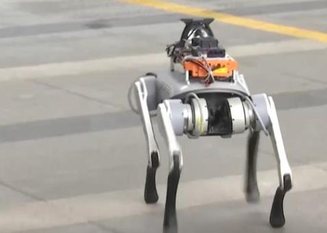 精準(zhǔn)操控！機(jī)器人技能大升級(jí) 具身大模型助力實(shí)現(xiàn)多元應(yīng)用