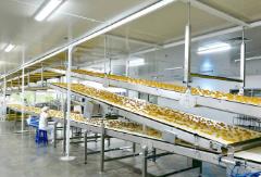 健康化 多樣化 數(shù)字化 品牌化　我國(guó)餅干行業(yè)蘊(yùn)含巨大發(fā)展空間