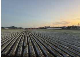 福建泉州：一手“融合牌”，打造良田好風(fēng)光