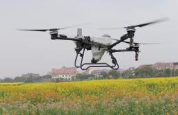 田間更豐富 “舌尖”更幸福