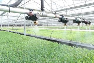 智慧灌溉、水肥一體——看農(nóng)業(yè)生產(chǎn)中的節(jié)水“妙招”