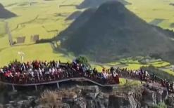 從“春日限定”到“四季長青” “花”文旅融合為鄉(xiāng)村振興“增色添香”