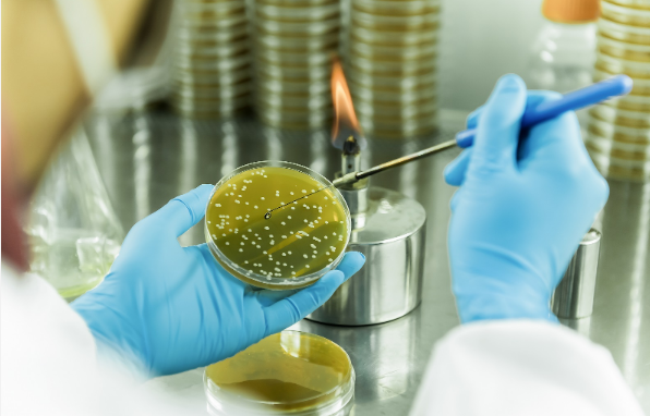 招商局集團領航生物基聚酰胺創(chuàng)新突破 打造生物經(jīng)濟新引擎